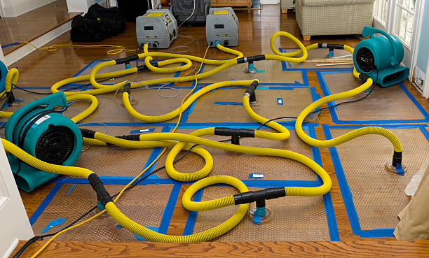 Professional Water Damage Repair technician working in Dunlap, IL